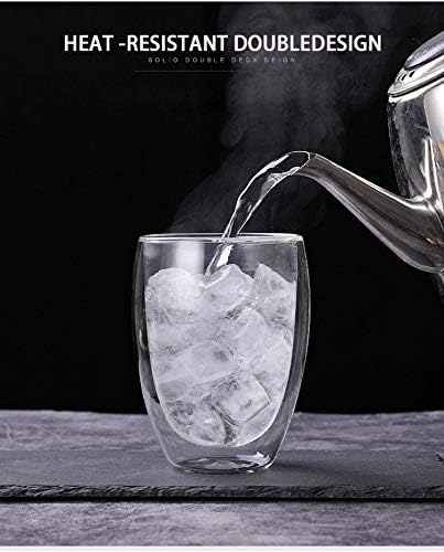 Premium Double Wall Glass India
