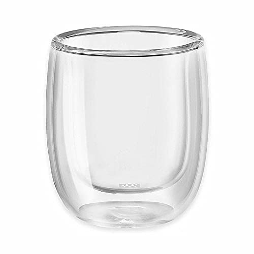 Double Walled Borosilicate Glass Tea & Coffee Mug - Heat Resistant and Insulated Glass Mug 200ml