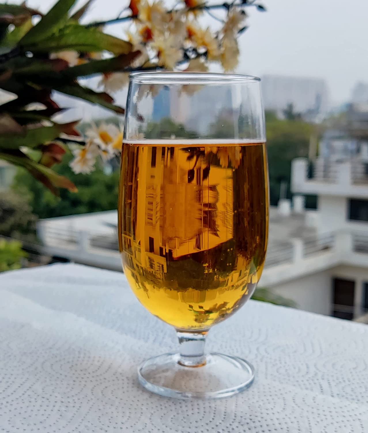 Chalbhai Beer Goblet Glass 330ML