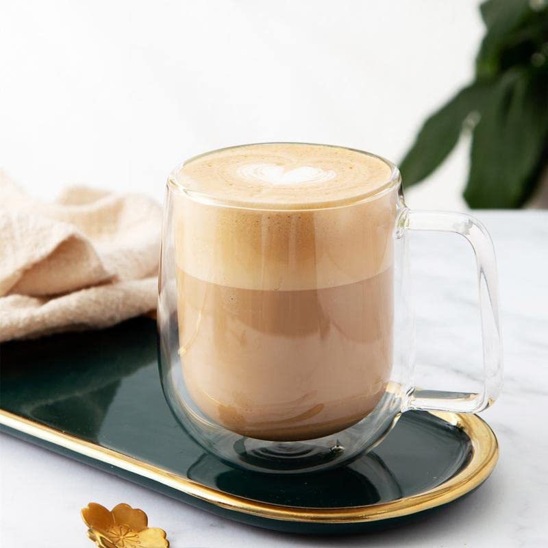 Chalbhai Double Wall Glass Mug 270ML
