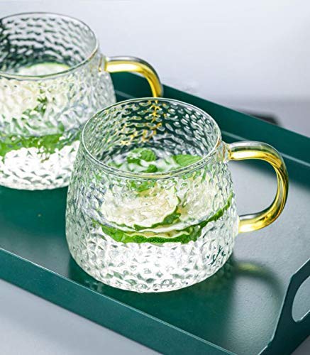 Chalbhai Golden Handle Glass Mug 410ML