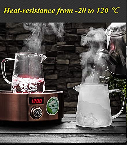 borosilicate glass tea kettle
